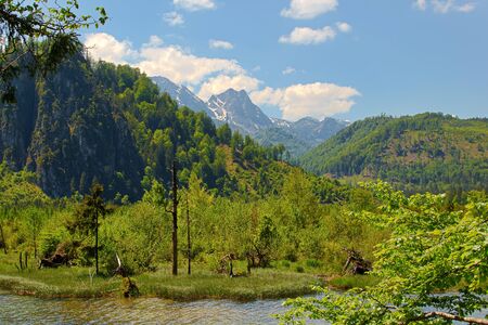 Mountain landscape with lake and forestの写真素材