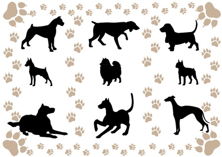 vector image of silhouettes of dogs and paw printsのイラスト素材
