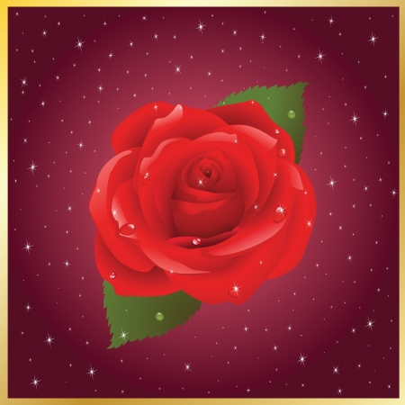 vector postcard with the image of roseのイラスト素材