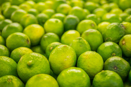 limes piled up at a marketの写真素材