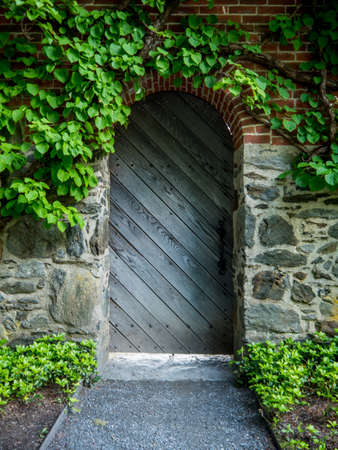 wooden door with brick and stone wall covered by ivyの写真素材