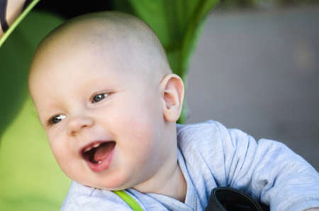 From the first walksの写真素材