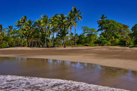 Tropical beach of costa rica with palm trees. waves of a transparent waterの写真素材