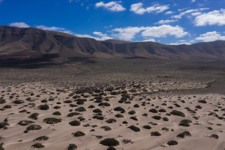 Panorama of the empty road through sandy and volcanic desert. Canary Islands, Lanzarote. View on the Caleta de Famaraの写真素材