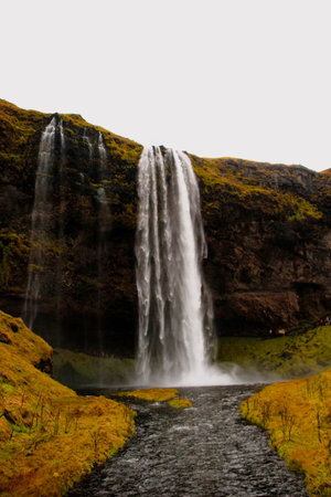 Seljalandsfoss waterfall in Iceland, amazing landscape with green flowering meadowの写真素材