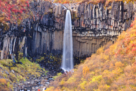 Svartifoss waterfall with basalt stone pillars, Iceland. One of the most beautiful waterfall in Iceland. hdr shotの写真素材