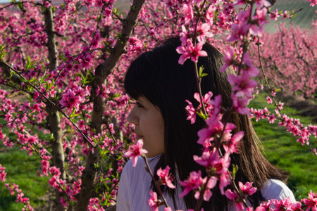 Caucasian woman among the pretty pink peach blossoms, in Lleida, Spain.