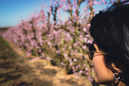 Caucasian woman among the pretty pink peach blossoms, in Lleida, Spain.