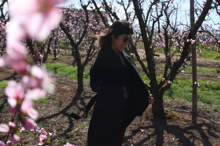 Woman walking through fields of flowering peach trees in spring through the beautiful fields of Aitona, Lleida.の写真素材