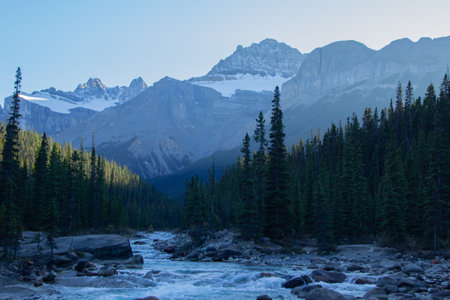 View at sunset, with the river full of trees in Mistaya Canyon, in the Canadian Rockies.
