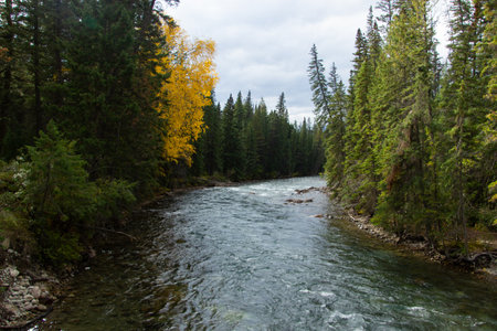 Athabasca River as it passes through Maligne Canyon in autumn, Canada.