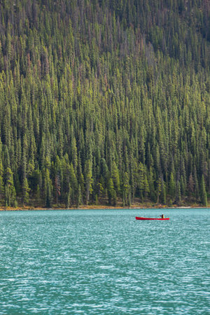 Visitors kayaking in Maligne Lake in Jasper National Park.の写真素材
