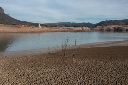 Dry tree with all the ground cracked in the Sau reservoir.の写真素材