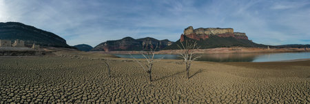 Panoramic aerial view of dry tree with all the ground cracked in the Sau reservoir.の写真素材