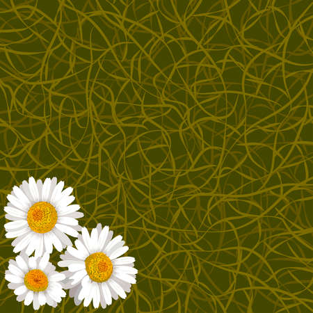 Green background from grass and flowers of camomile in cornerのイラスト素材