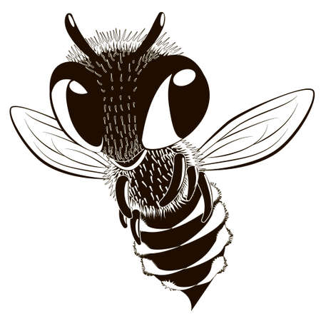 Cartoon character fling monochrome bee.のイラスト素材