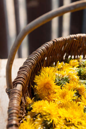 Braided natural basket with yellow dandelion flowers. Basket stands on the small wooden table with a distinctive wood pattern. Fits well as background or wallpaper for PC, homepage, advertising, poster, banner and other.の写真素材