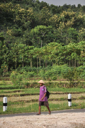 YOGYAKARTA, INDONESIA - APRIL 2, 2015 : A farmer walks on the road in Yogyakarta, Indonesia.のeditorial素材