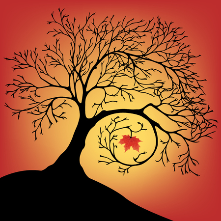 The black silhouette of a beautiful big tree with one leafのイラスト素材
