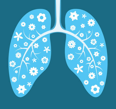 Healthy lungs. Cartoon vector illustrationのイラスト素材