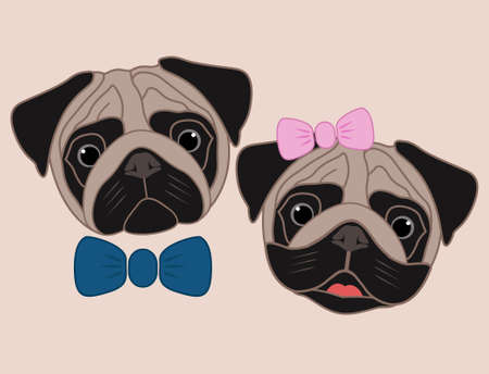 Cartoon pugs. Girl and boyのイラスト素材