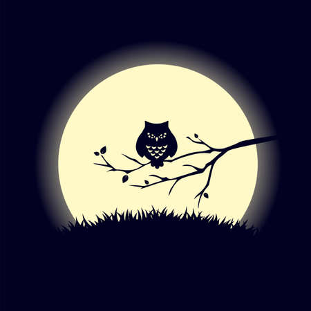 Black owl on full moon illustration.のイラスト素材