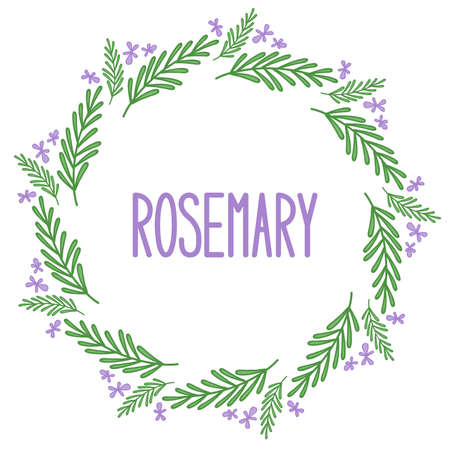Rosemary doodle frame.のイラスト素材