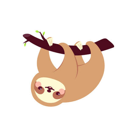 Cute sloth. Vector illustration isolated on white backgroundのイラスト素材
