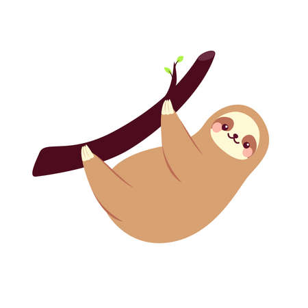 Cute sloth. Vector illustration isolated on white backgroundのイラスト素材