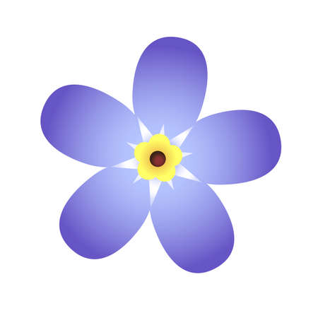 Forget-me-not vector flower isolated on white background. Vector illustrationのイラスト素材