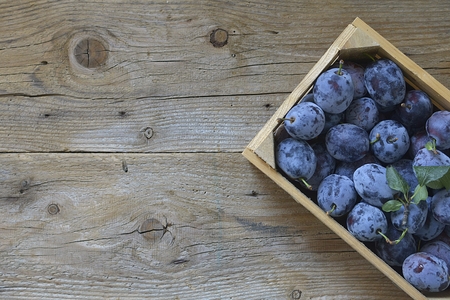 crop autumn wood plum backgroundの写真素材