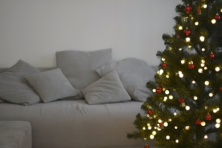 Christmas at home in the living roomの写真素材