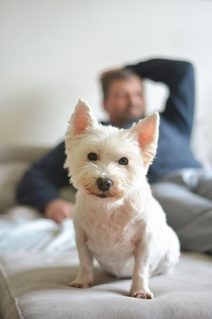 home comfort while watching TVの写真素材