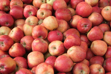 applesの写真素材