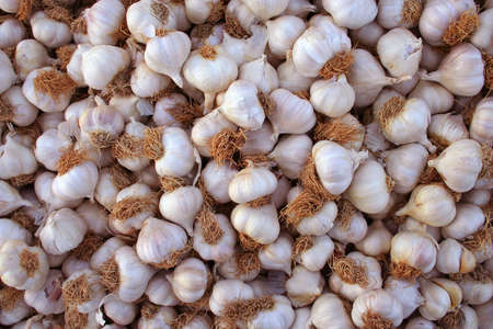 garlic backgroundの写真素材