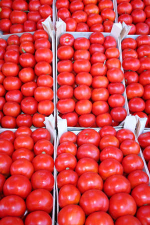 Organic tomatoes on display at bazaarの写真素材