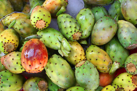 Tropical delicious cactus fruit as backgroundの写真素材