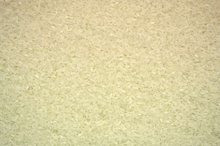 rice backgroundの写真素材