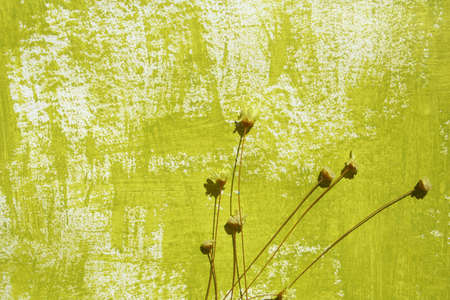 abstract painted canvas as background. Art is painted by photographer.の写真素材