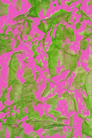 green abstract on pink color, as backgroundの写真素材