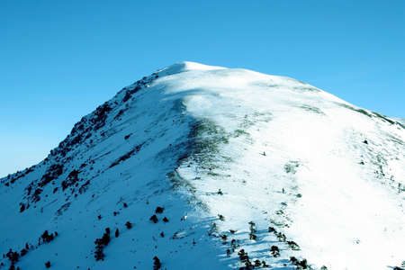 Top of the Ilgaz Mountain- Turkiyeの写真素材