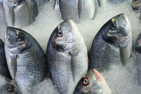 fish at market