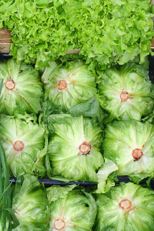 greengroceryの写真素材