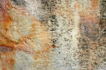 ephesus ruin as background