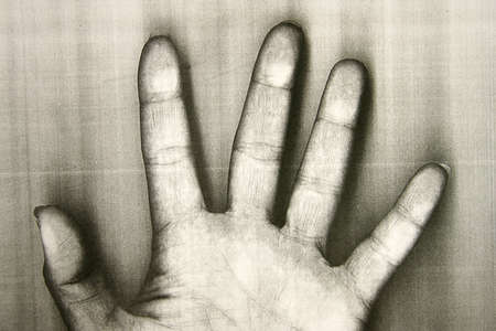 hand palm