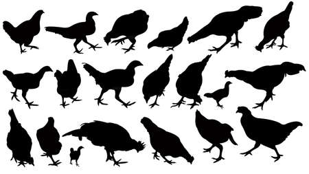 chickens silhouette vector のイラスト素材
