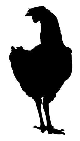 chicken silhouette vector のイラスト素材