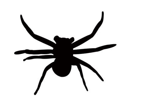 a Spider silhouetteのイラスト素材