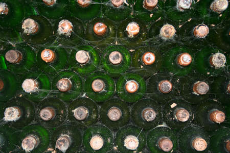 dusting ancient wine bottles in an underground cellarの写真素材