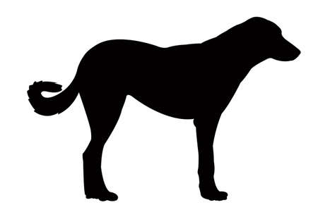 a dog silhouette vectorのイラスト素材